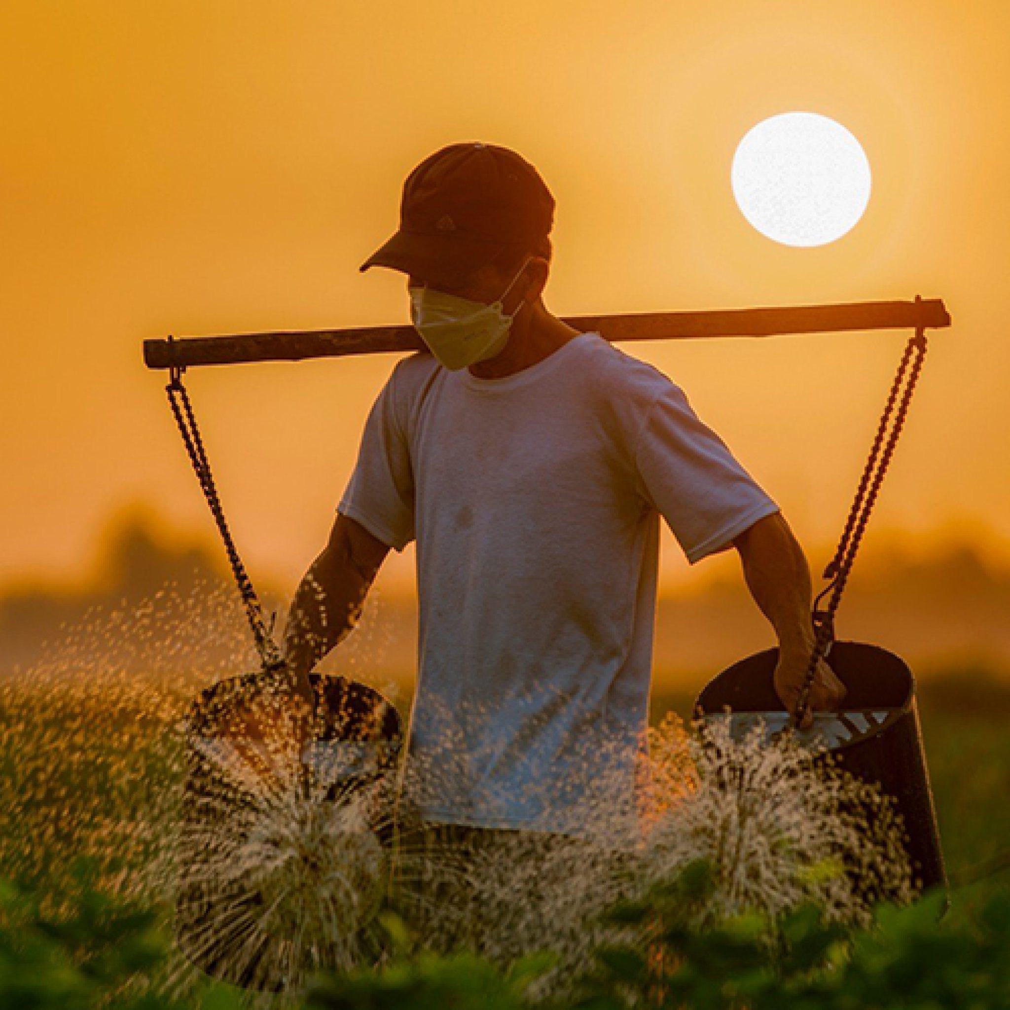 farmer in lachu village