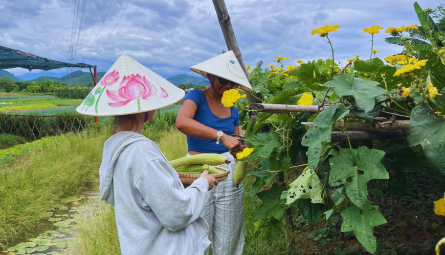 Harvesting Organic Vegetables with your own hands