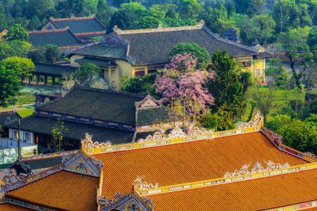 Discovering Vietnam’s Rural Areas: Top Countryside Destinations You Shouldn’t Miss