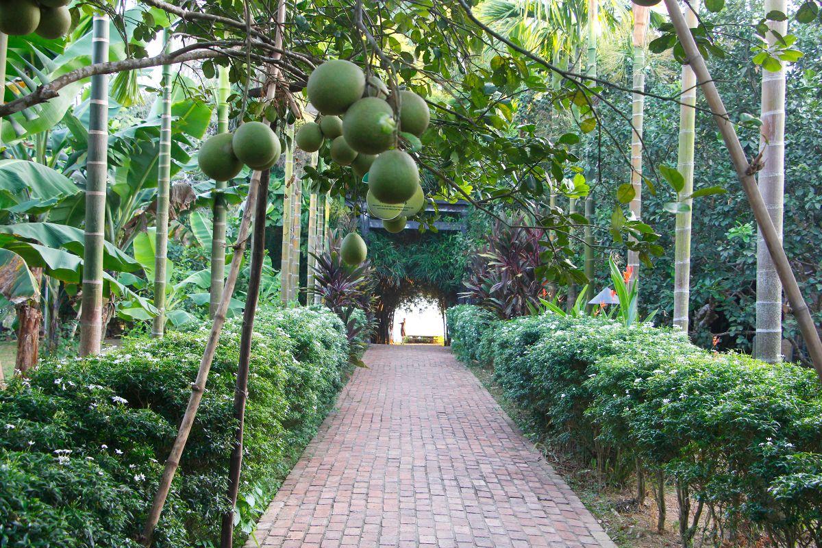 An Hien Garden House