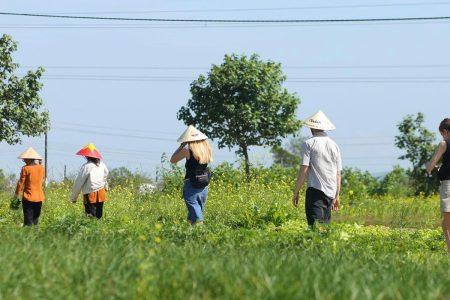 Top 9 Unforgettable Experiences in Vietnam’s Countryside