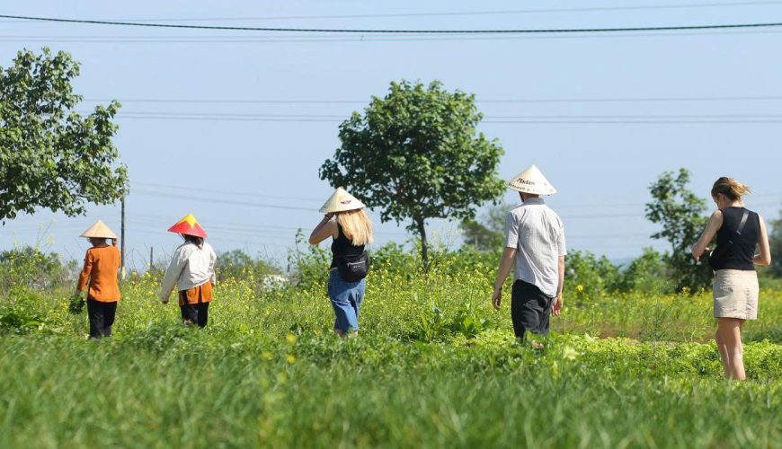 Top 9 Unforgettable Experiences in Vietnam’s Countryside